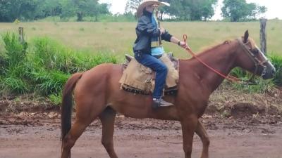 N. Sra. Aparecida â€“ Comunidade Barra Mansa do IguaÃ§u 